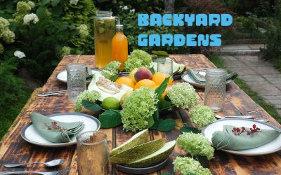 Grow Your Own Back Yard Garden For Better Life