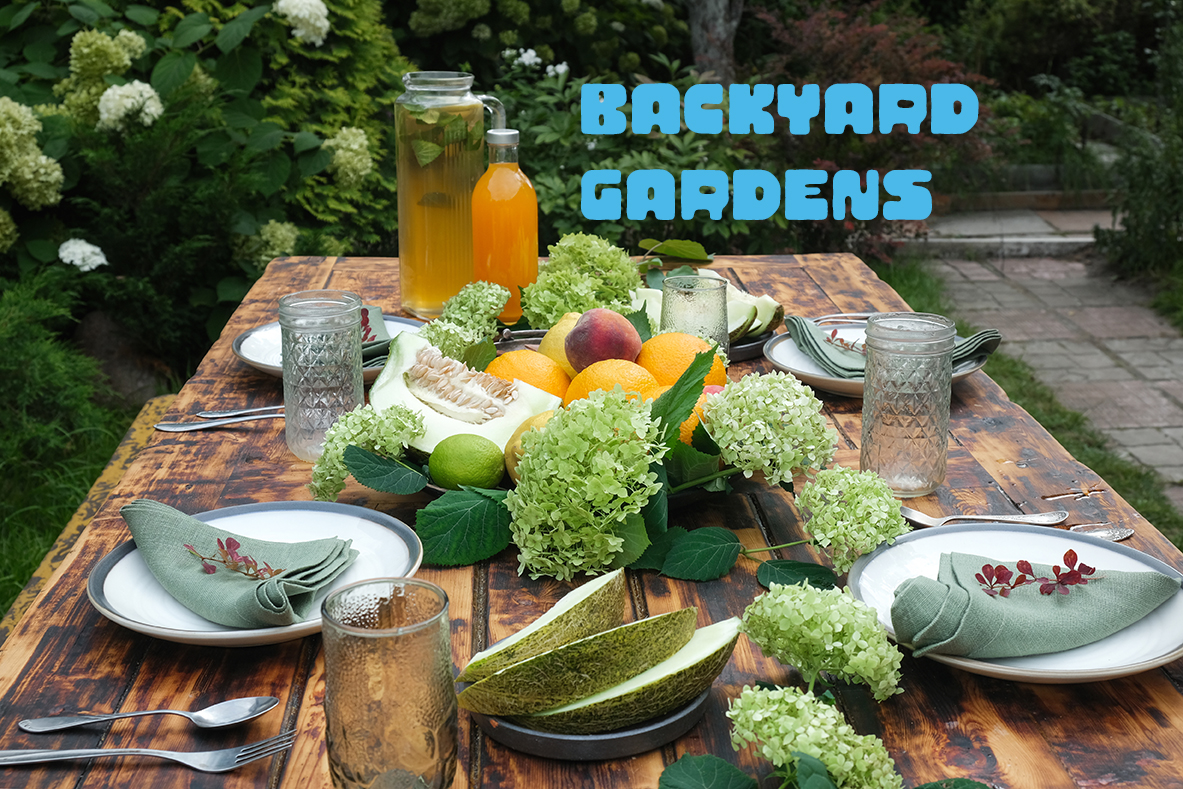 Grow Your Own Back Yard Garden For Better Life