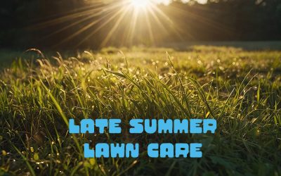 How to Manage Your Lawn in Late Summer