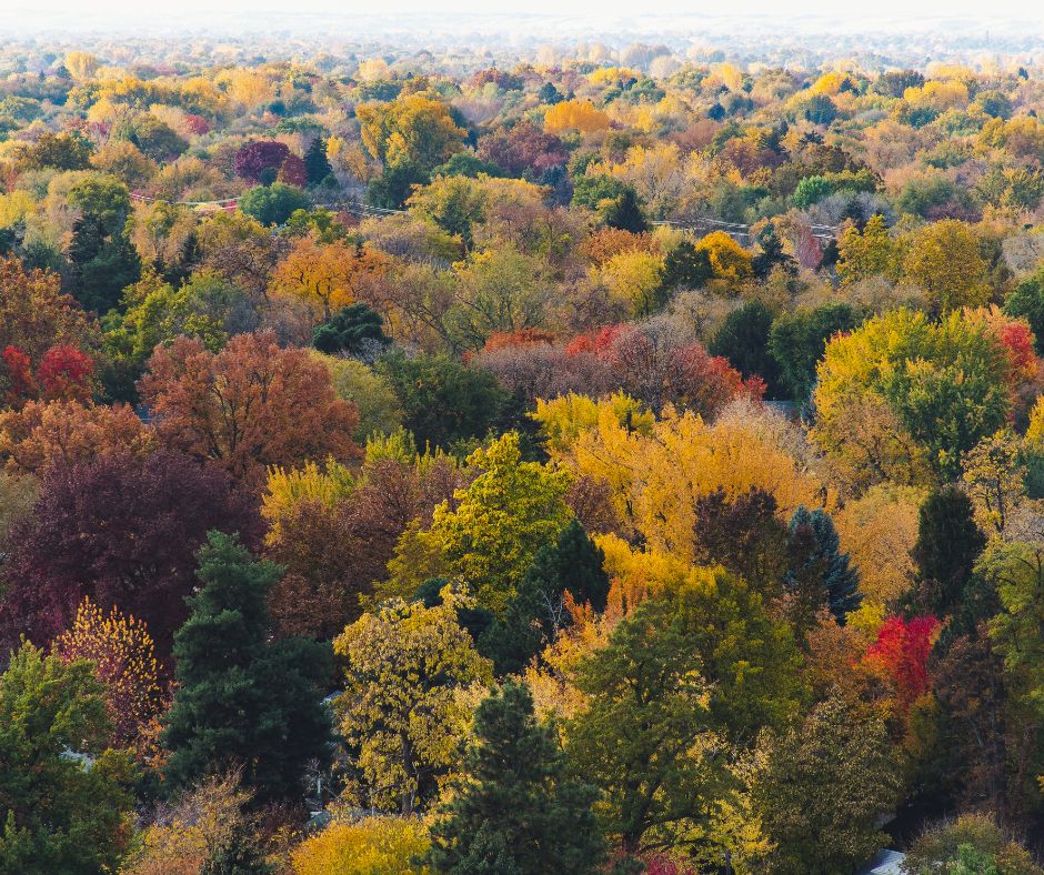 Why Seasonal Clean Up Is Important to Your Lawn in Boise & the Treasure Valley