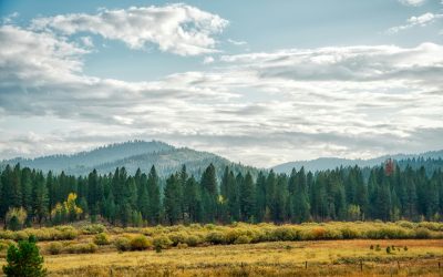 When to Start Lawn Care in Boise, Idaho: A Month-by-Month Guide