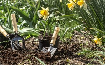 Spring Landscaping Checklist for Boise Homeowners