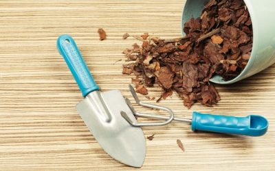 The Benefits of Mulching: How It Protects Your Boise Landscape
