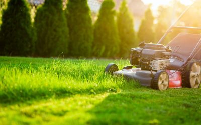 Summer Lawn Care Tips for Boise: How to Keep Your Yard Green in the Heat