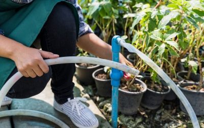 Irrigation Repair and Maintenance in Boise: Keeping Your Lawn Green All Summer