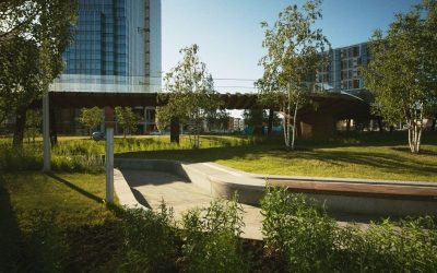Commercial Landscaping in Boise: Why First Impressions Matter for Your Business