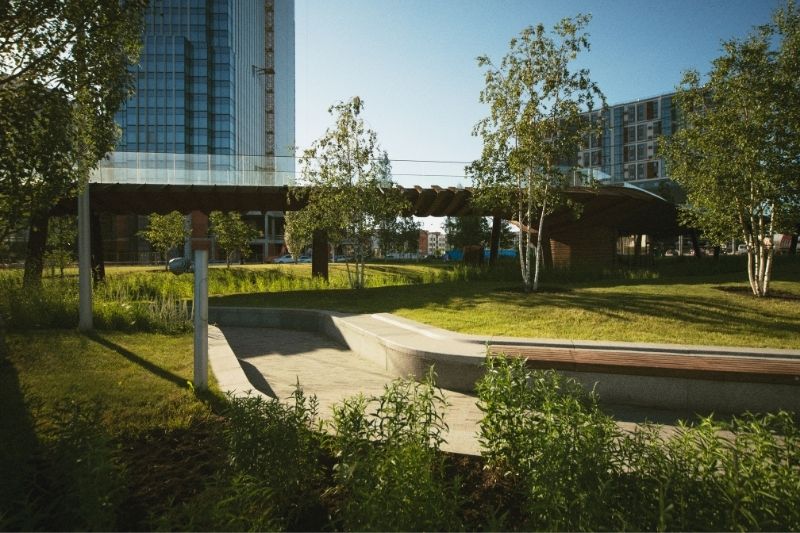 Commercial Landscaping in Boise: Why First Impressions Matter for Your Business