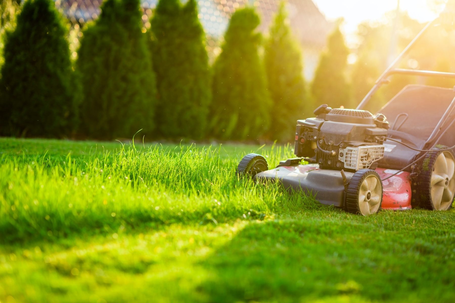 Summer Lawn Care Tips for Boise: How to Keep Your Yard Green in the Heat