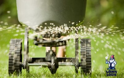 Fertilization & Weed Control: Comprehensive Lawn Care with Lawn Logic in Boise and the Treasure Valley