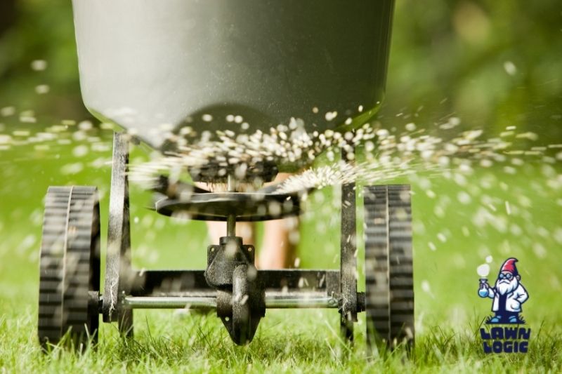 Fertilization & Weed Control: Comprehensive Lawn Care with Lawn Logic in Boise and the Treasure Valley
